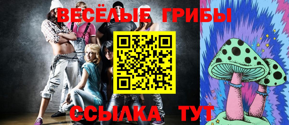 Элиста  Галлюциногенные грибы GOLDEN TEACHER  Вход с VPN  Галлюциногенные грибы Psilocybine cubensis 