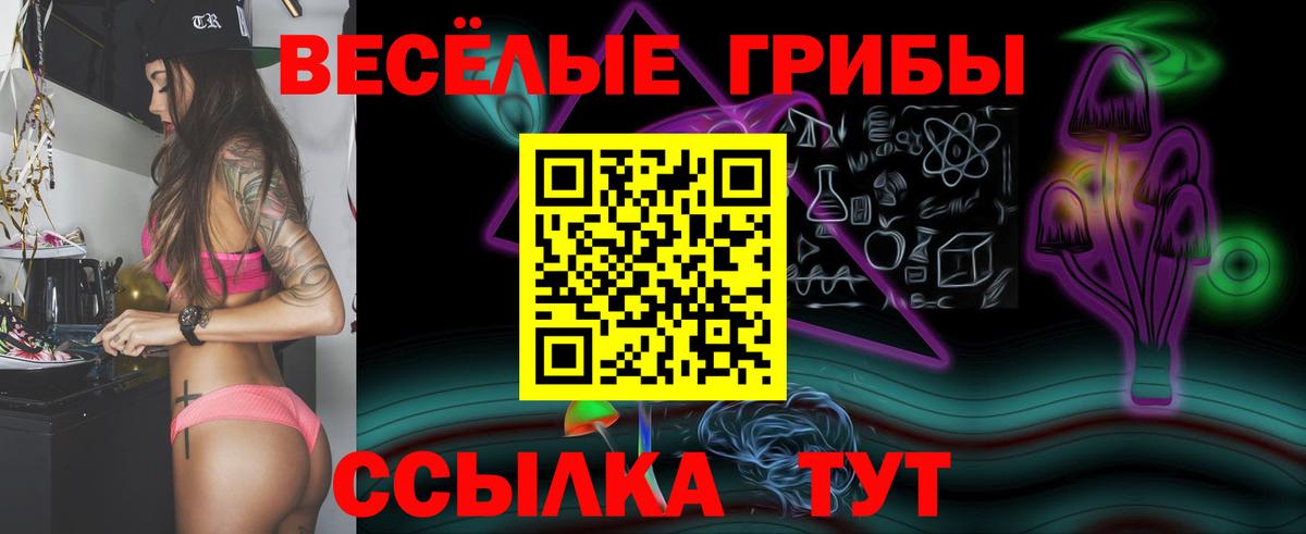 Галлюциногенные грибы прущие грибы Элиста